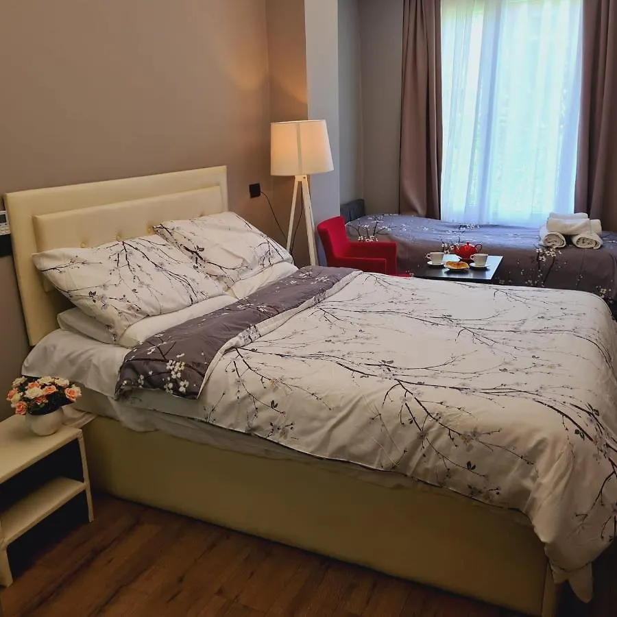 T Hotel City Tirana - Hotel Driti